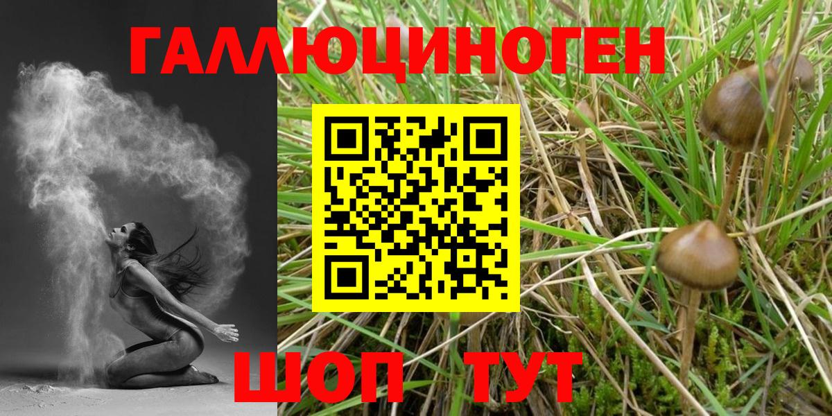 Галлюциногенные грибы GOLDEN TEACHER  Вход с VPN  Псилоцибиновые грибы мицелий  Бирск 
