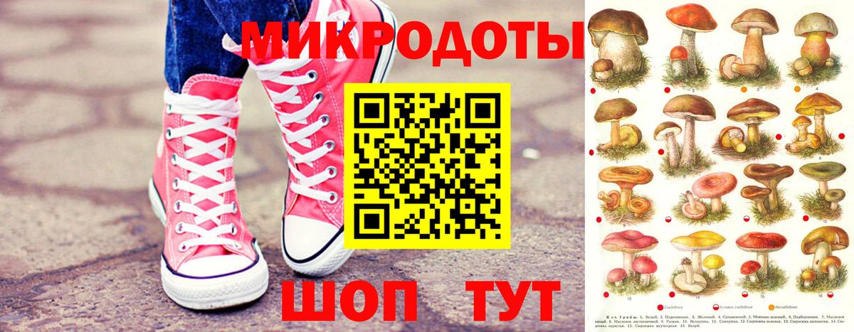 Галлюциногенные грибы Cubensis Бирск